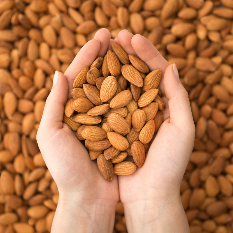 North Himalayan Almond (Badam) seeds - 5