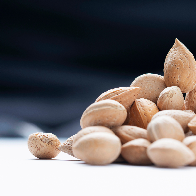 North Himalayan Almond (Badam) seeds - 5