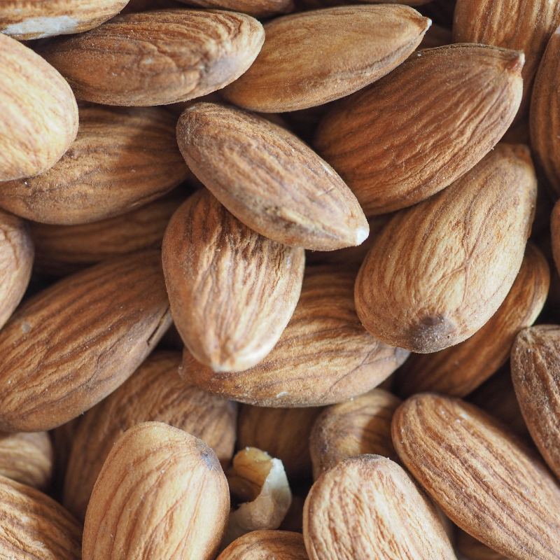North Himalayan Almond (Badam) seeds - 5