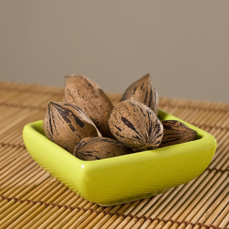 Pecan, Carya illinoinensis, Hickory Nut, Sweet Pecan - 3