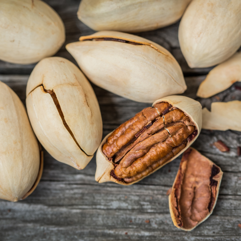 Pecan, Carya illinoinensis, Hickory Nut, Sweet Pecan - 3
