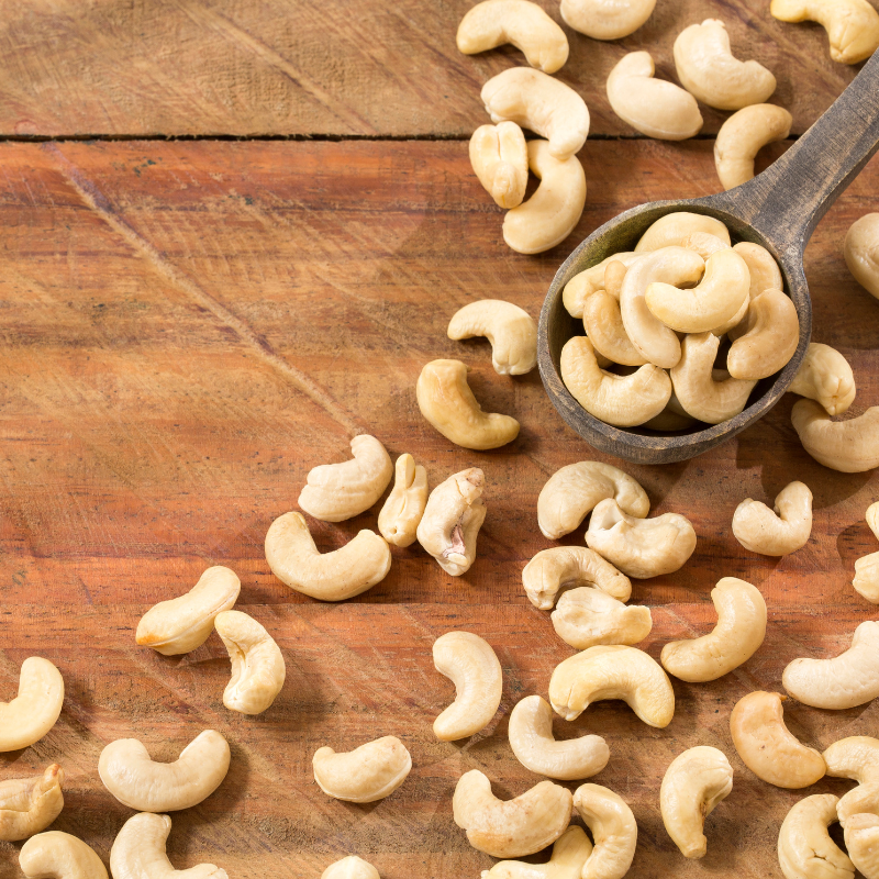 Cashew, Cashew Nut, Anacardium occidentale, Kajoo, Caju Nut - 5