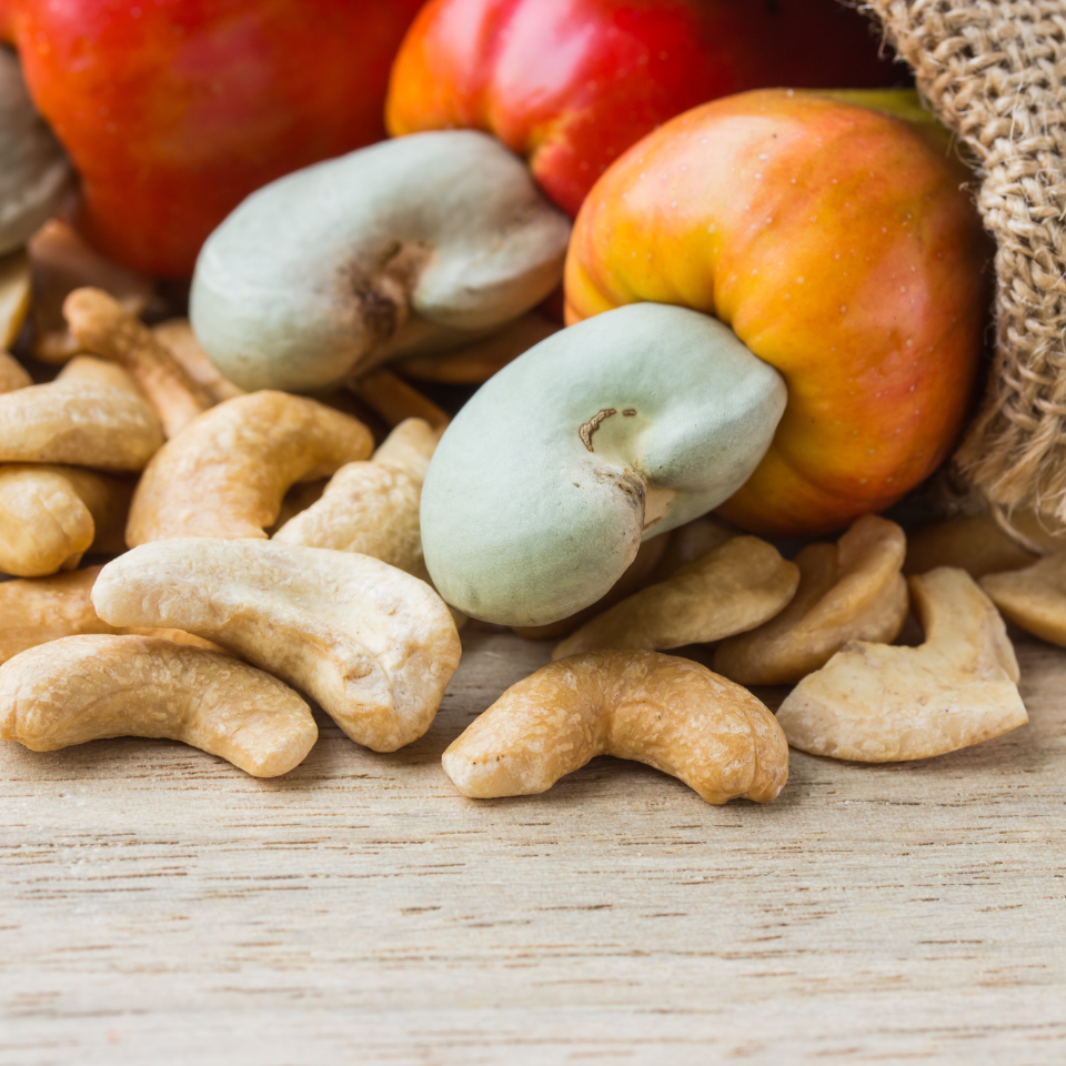 Cashew, Cashew Nut, Anacardium occidentale, Kajoo, Caju Nut - 5