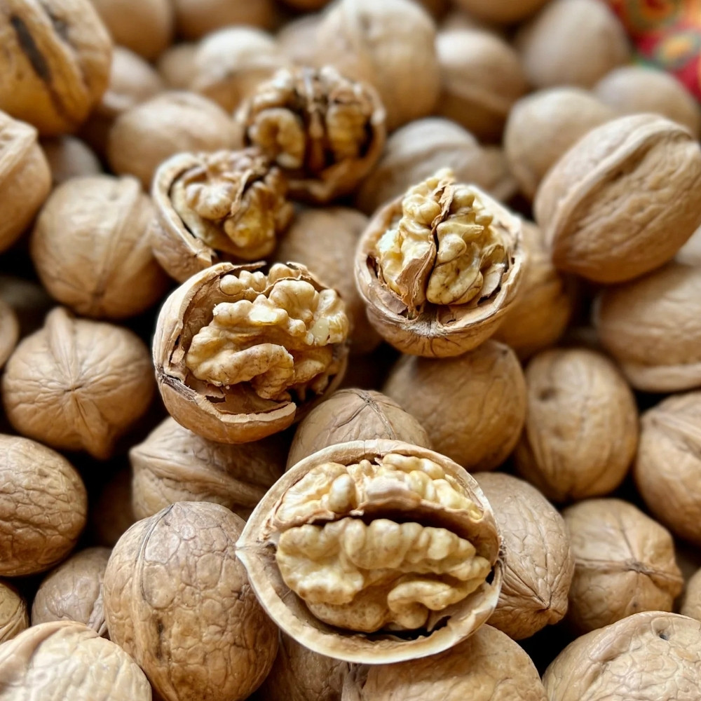 Himalayan Walnut, Juglans regia, Indian Walnut, Tibetan Walnut - 5