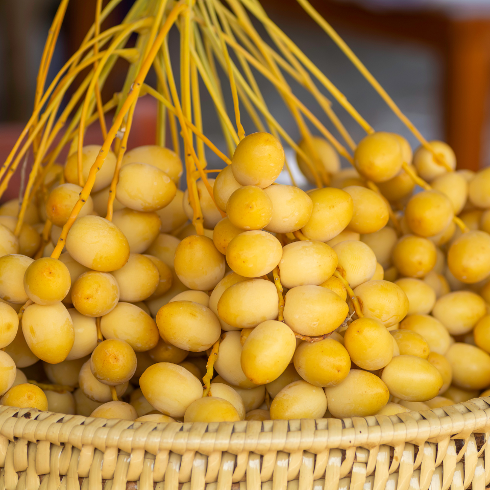 Mazafati Date Palm seeds, Rotab Date - 5