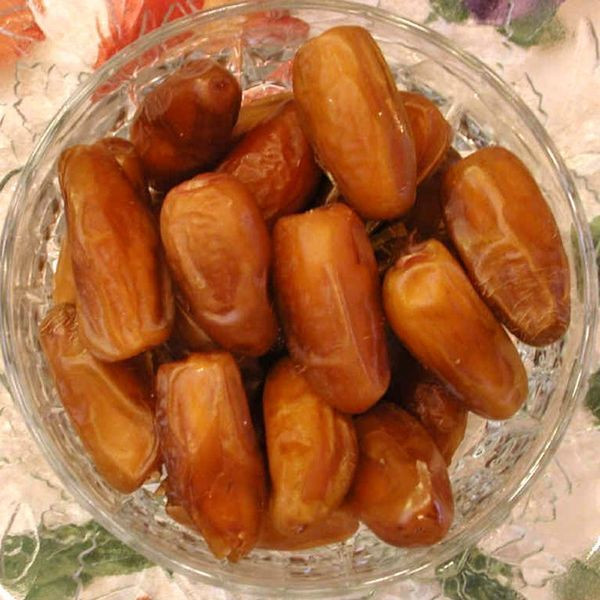Deglet Nour Date Palm seeds - 5