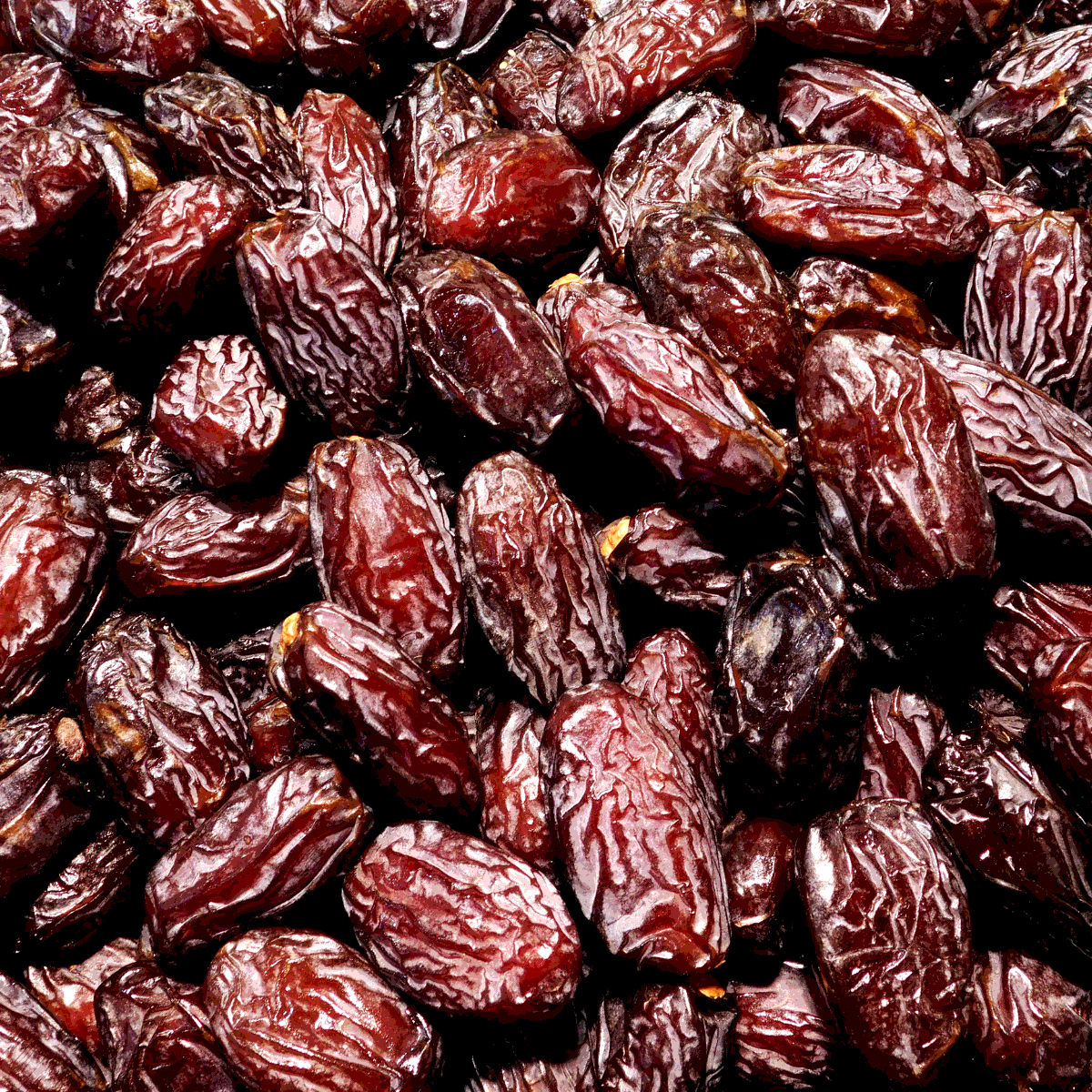Saidy Date Palm seeds - 5