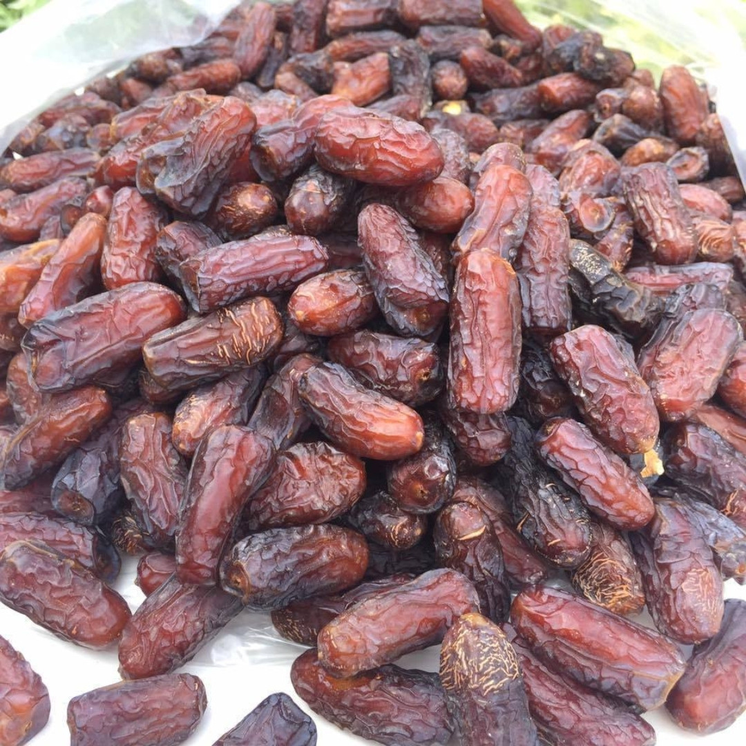 Mariami Dates Palm Seeds - 5