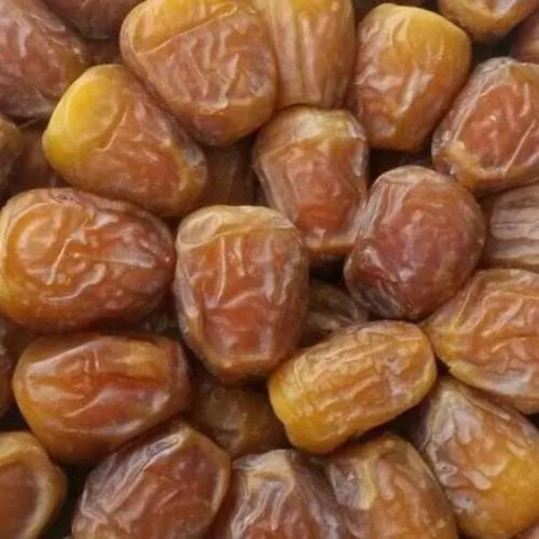 Sukkari Dates Palm Seeds - 5