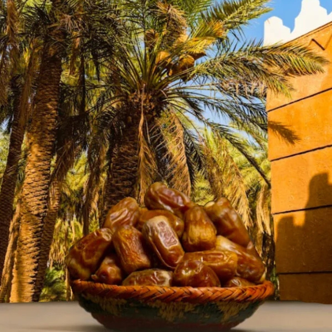 Sukkari Dates Palm Seeds - 5