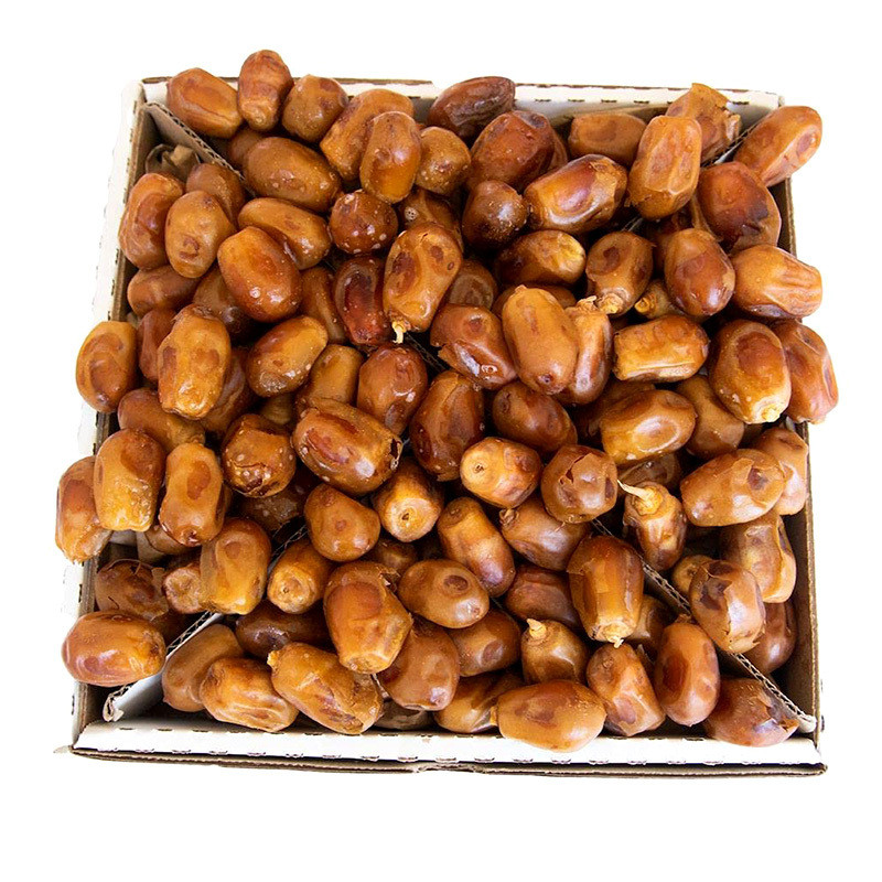 Halawi Date Palm seeds - 5