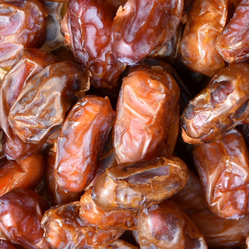 Halawi Date Palm seeds - 5