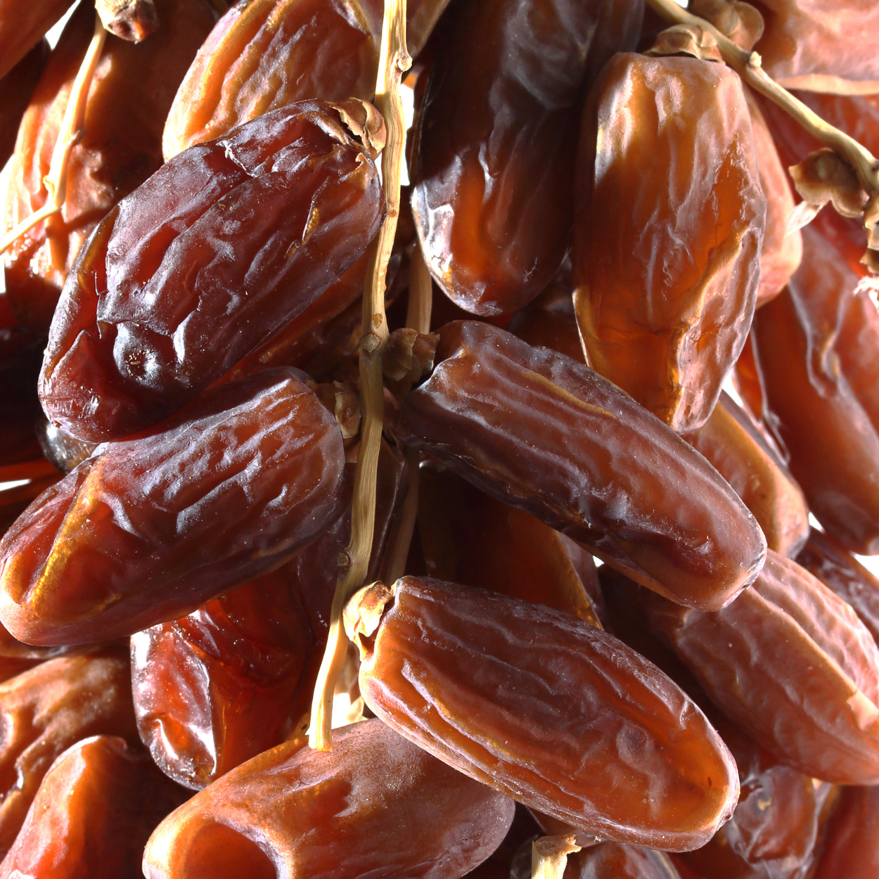 Zahidi dates seeds - 10
