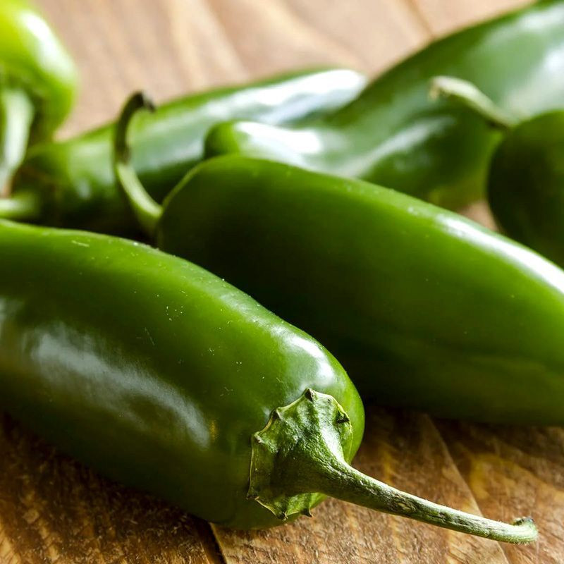 Hot pepper seeds Jalapeno Giant - 5