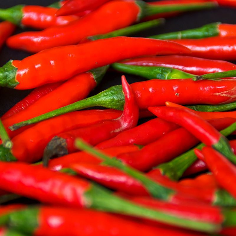 Hot pepper seeds Thai dragon - 5