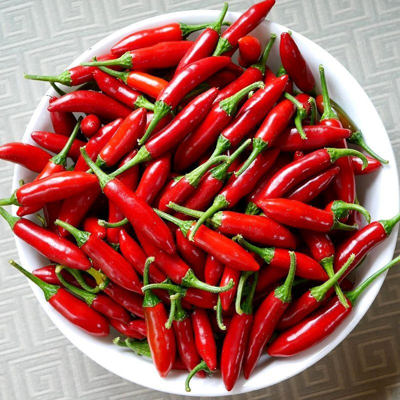 Hot pepper seeds Serrano rojo (red) - 5
