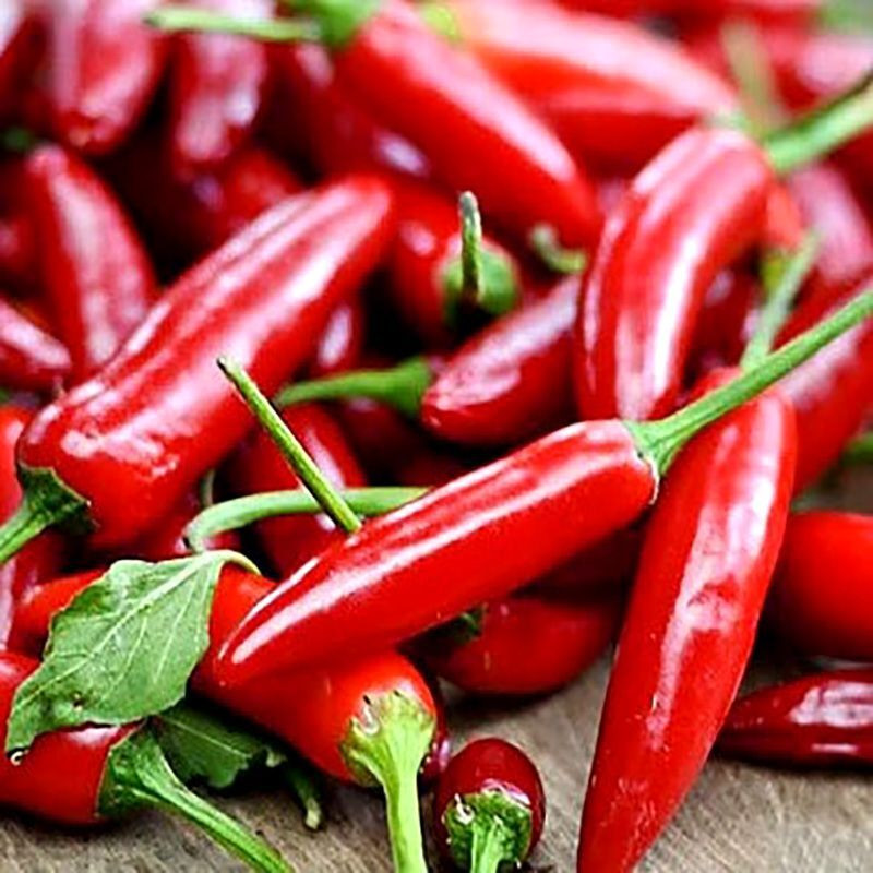 Hot pepper seeds Serrano rojo (red) - 5