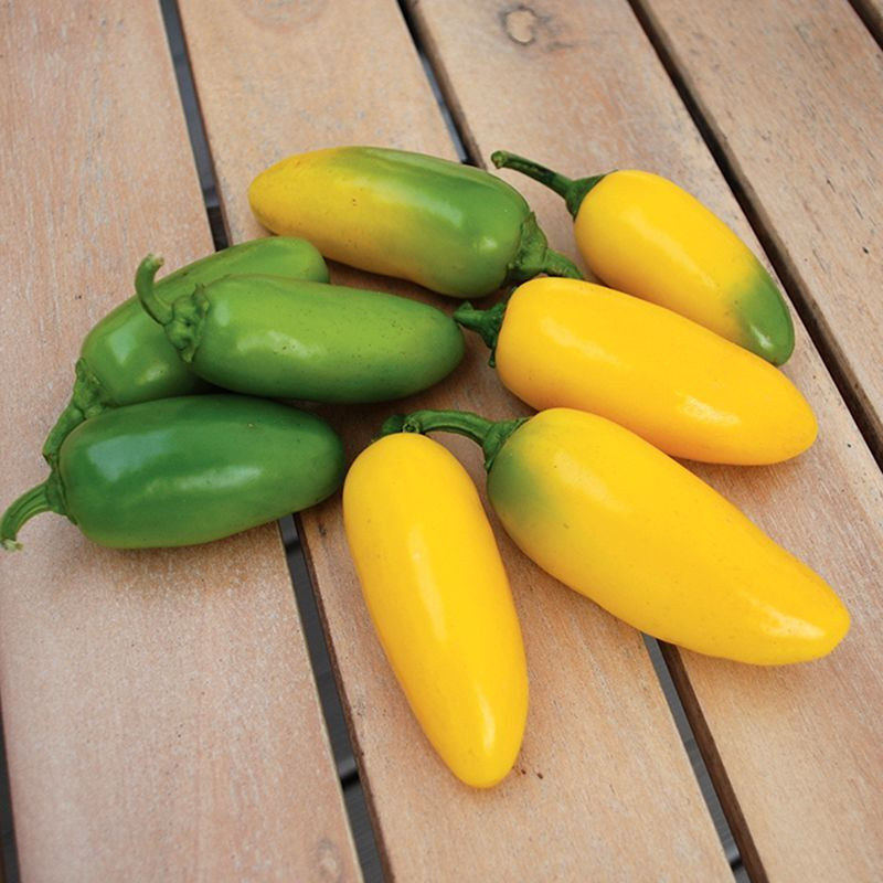 Hot pepper seeds Jalapeno NuMex lemon - 5