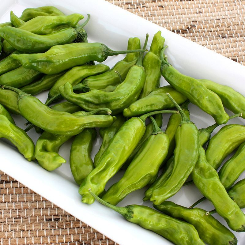 Hot pepper seeds Shishito - 5