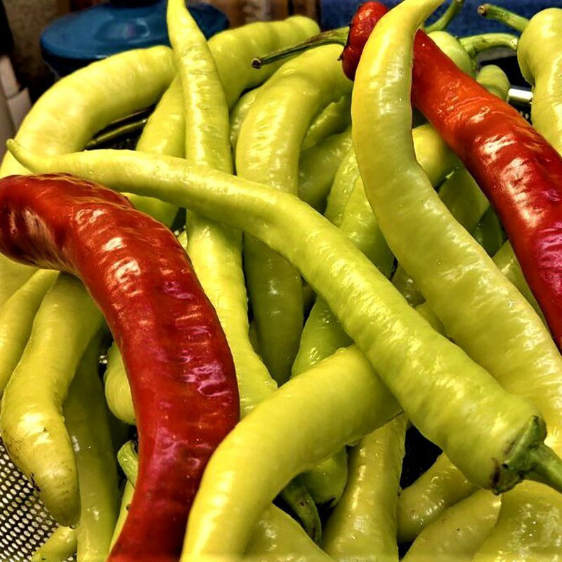 Noom Thai chili green pepper seeds - 10