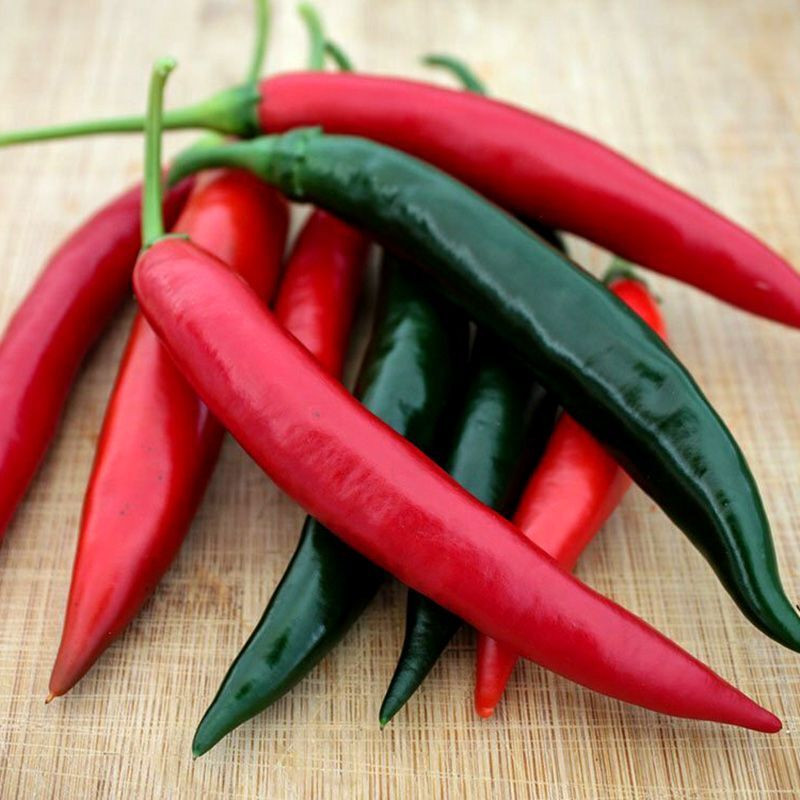 Chee Fah Dang thai chili pepper seeds - 10