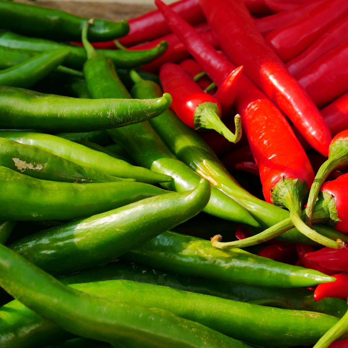 Hot pepper seeds Tsitsak - 10