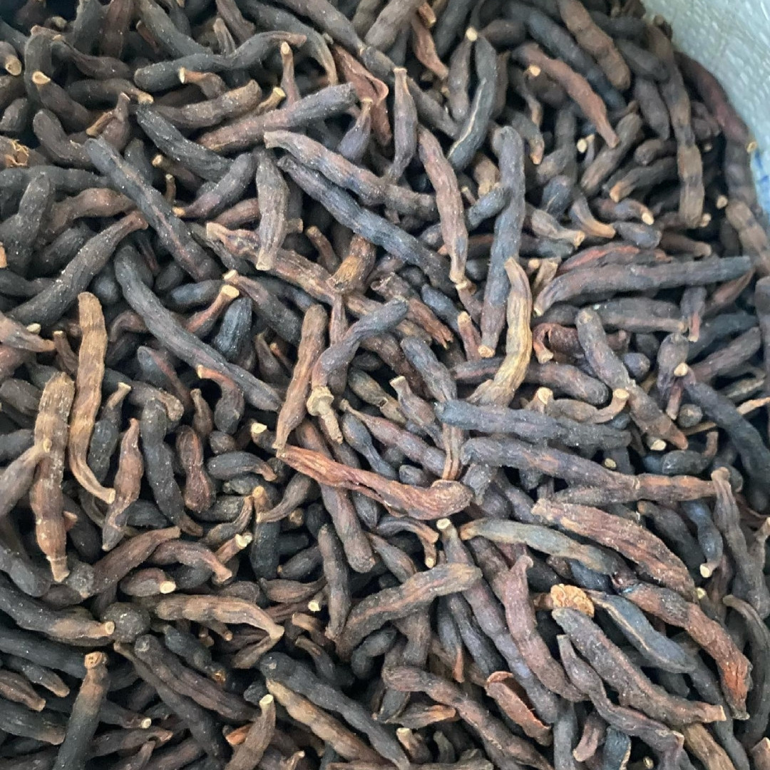 Negro Pepper Seeds, Xylopia Aethiopica - 10