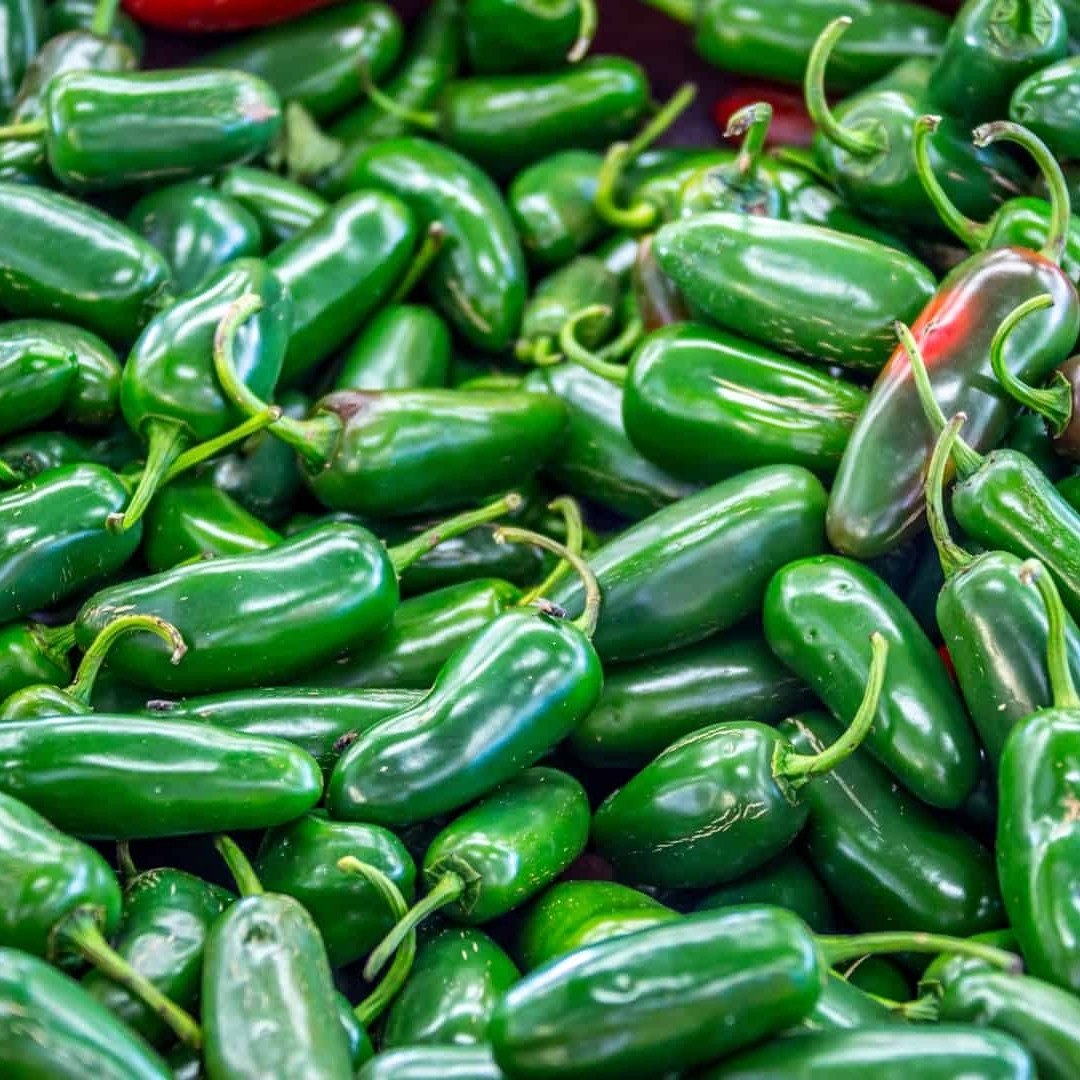 Hot Pepper Jalapeno Seeds - 10