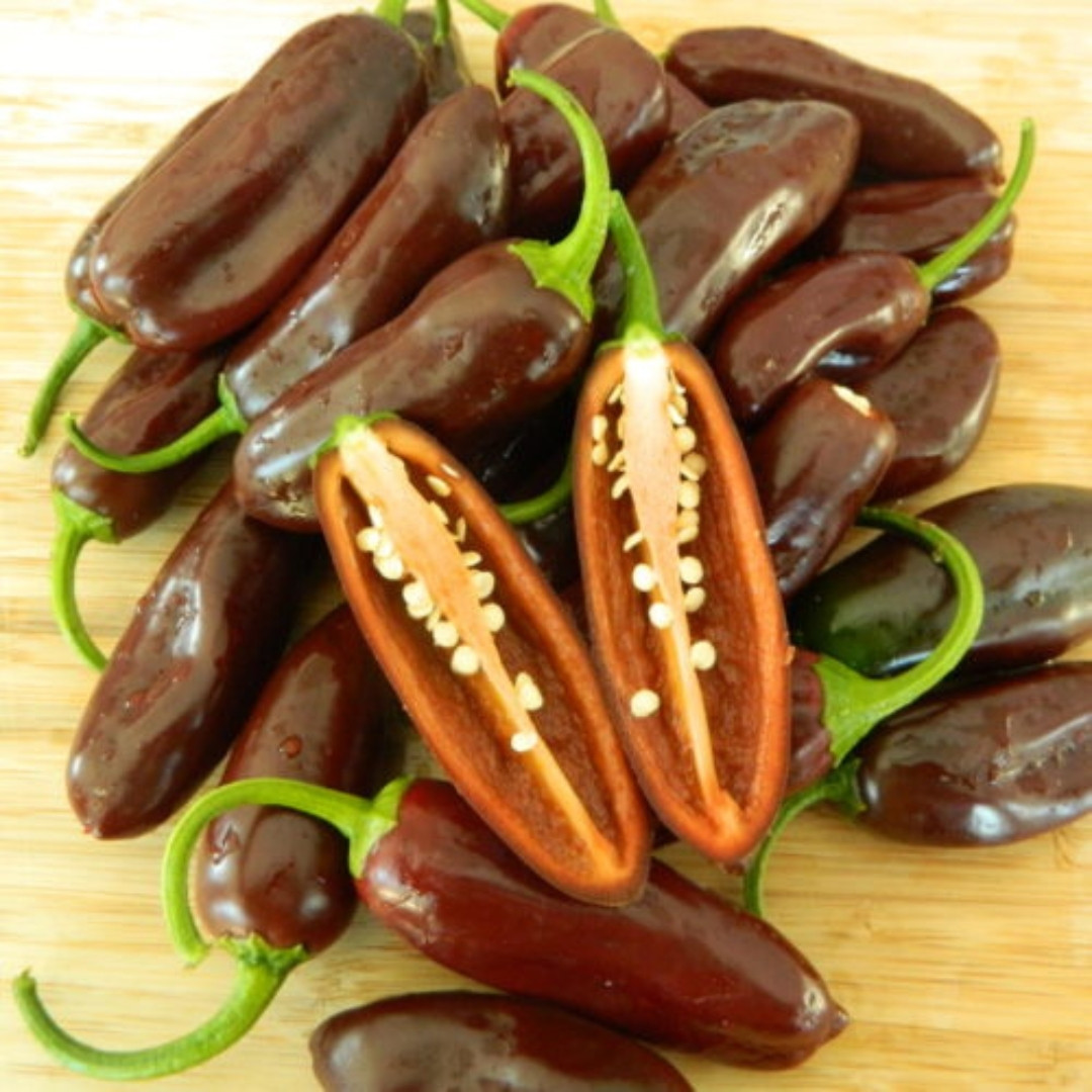 Hot Pepper Seeds Jalapeno Telica - 5