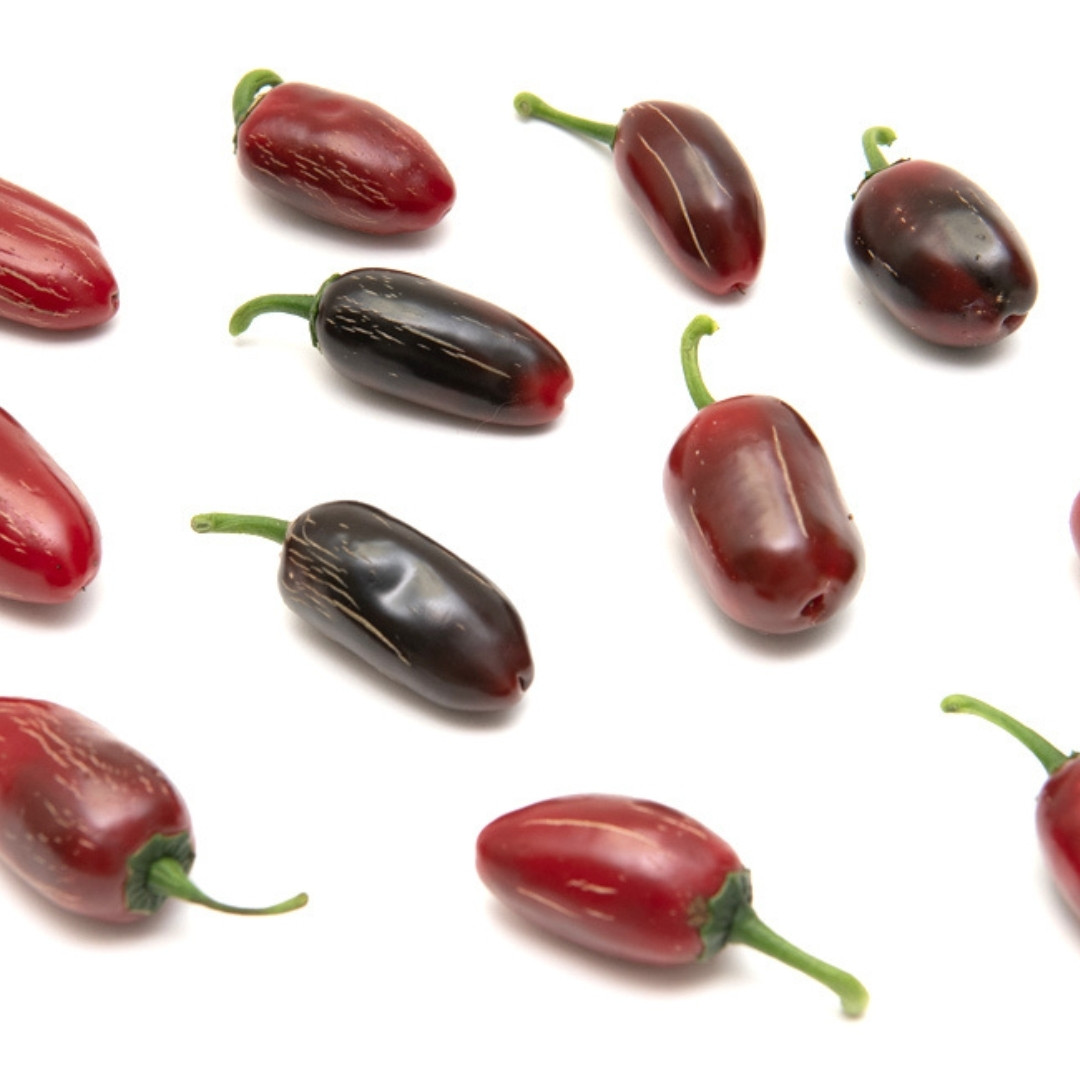Hot Pepper Seeds Jalapeno Telica - 5