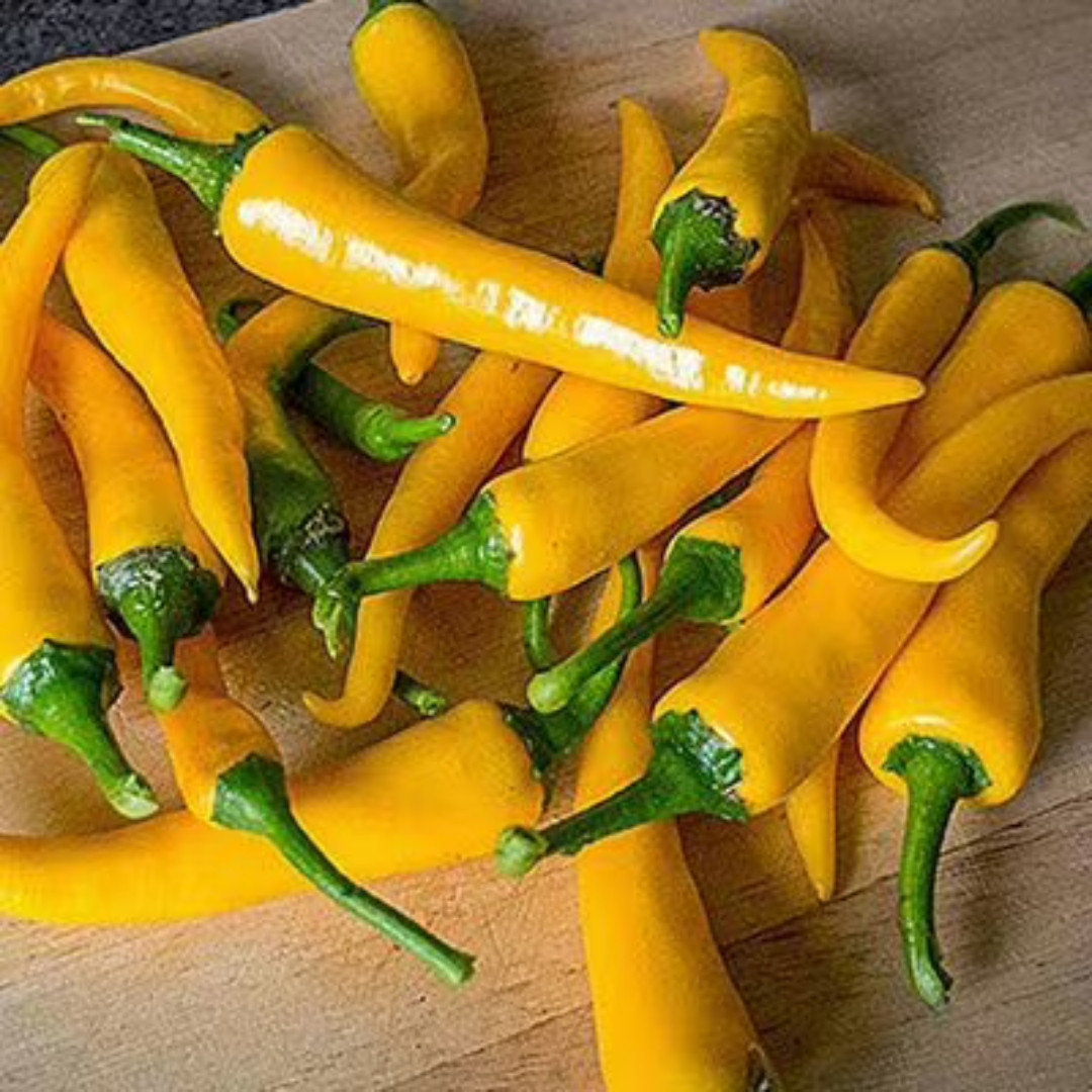 Hot Cayenne Golden Pepper Seeds - 5