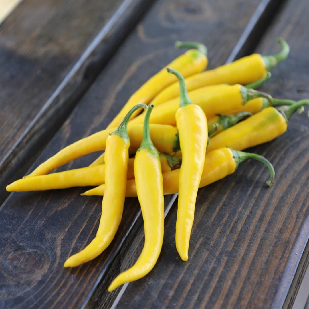 Hot Cayenne Golden Pepper Seeds - 5