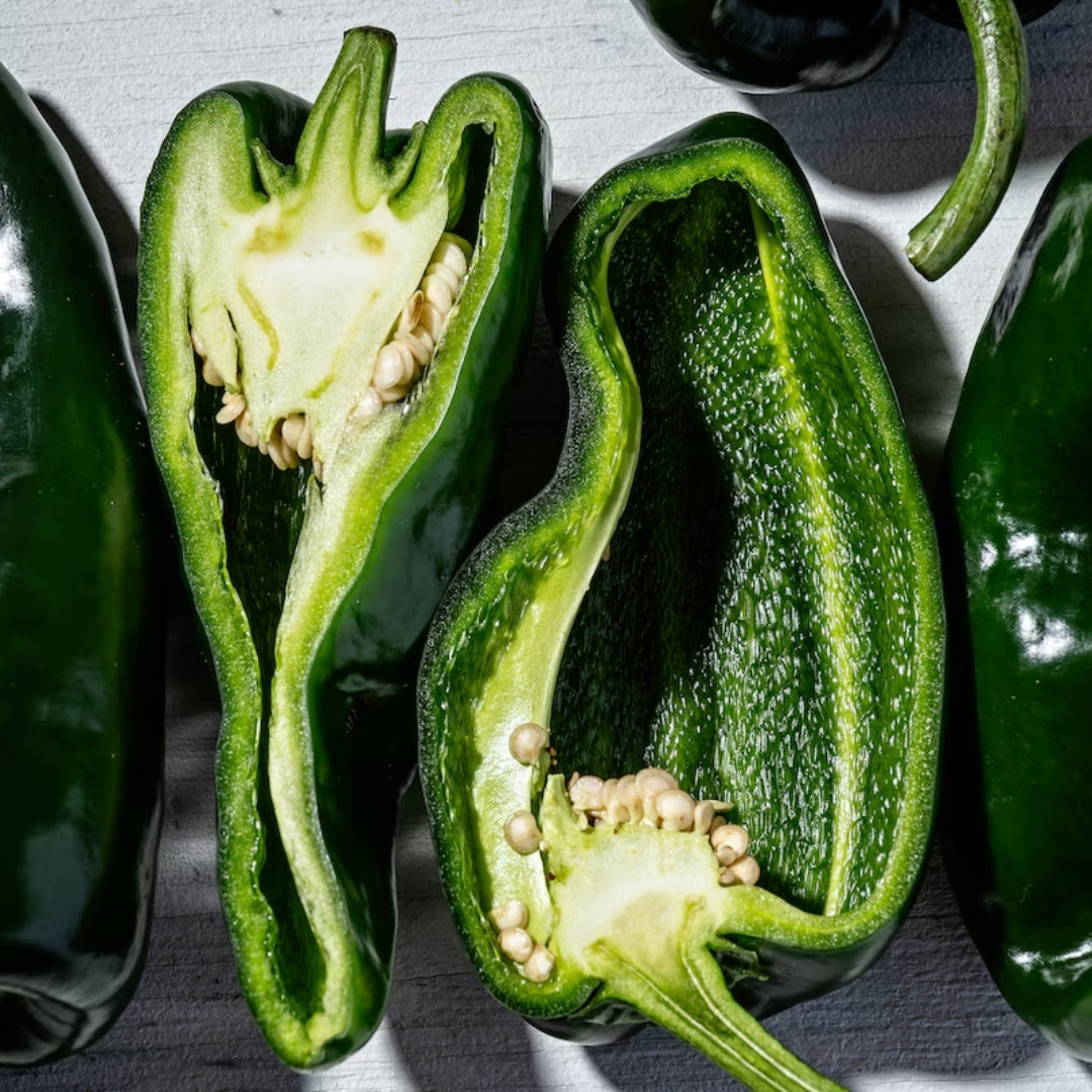 Hot Pepper Seeds Poblano, Ancho Mulato - 5