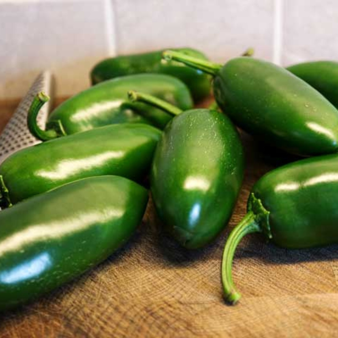 Hot Pepper Seeds Jalapeno Conchos - 5
