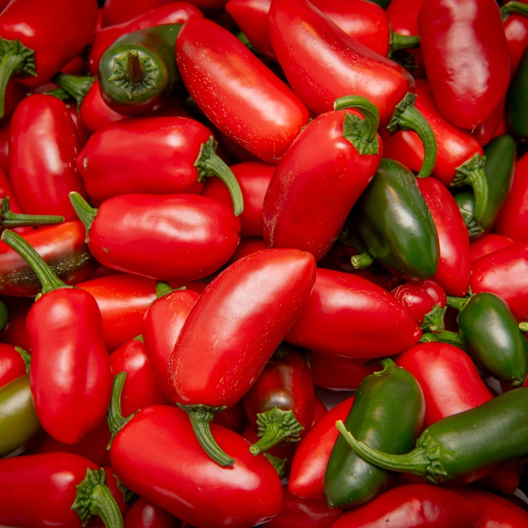 Hot Pepper Seeds Jalapeno Conchos - 5