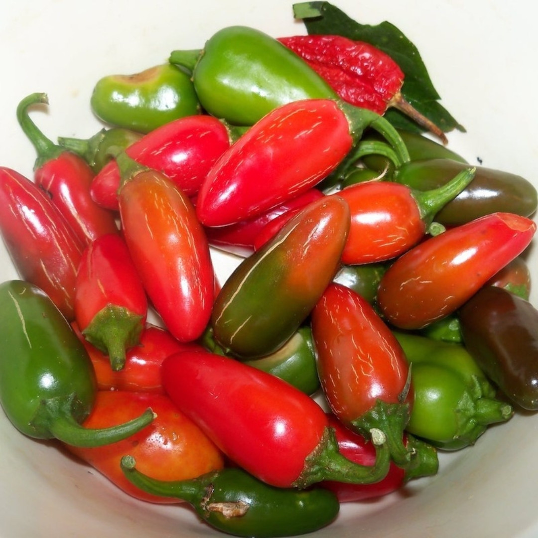 Hot Pepper Seeds Jalapeno Casablanca - 5