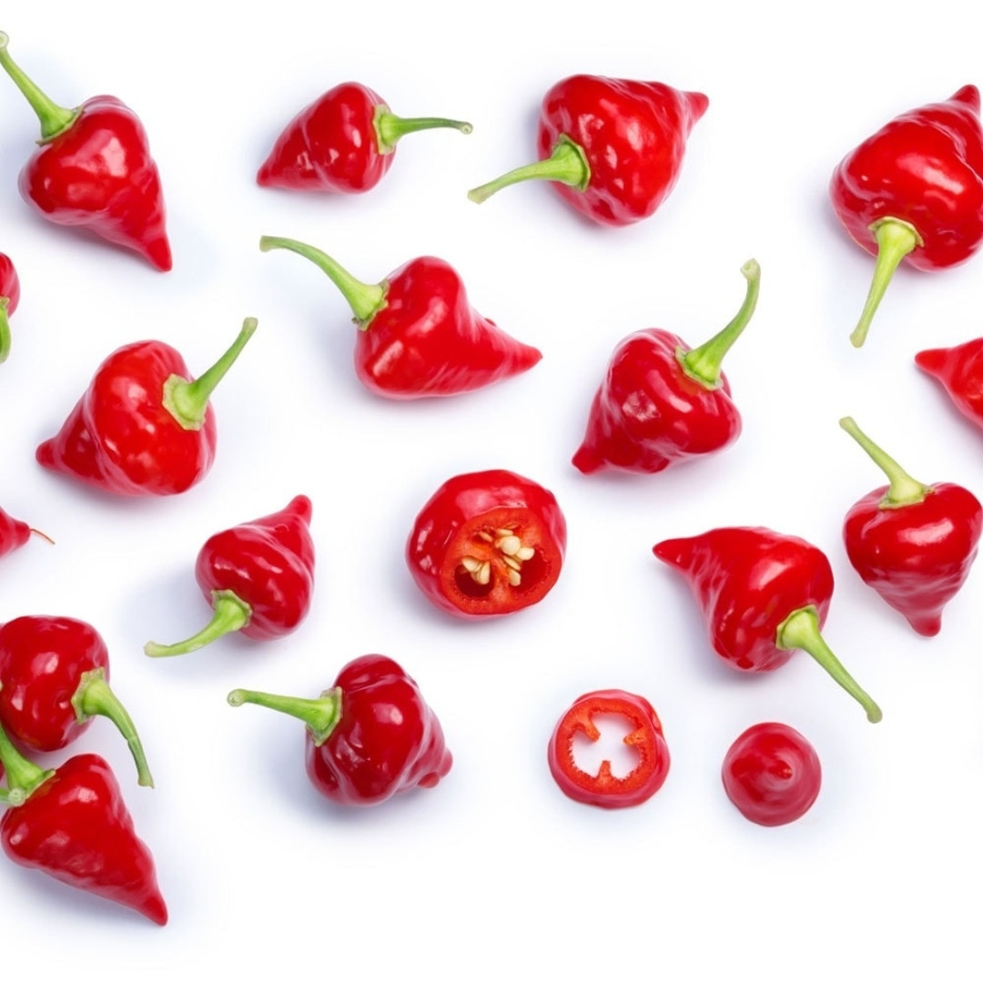 Hot Pepper Seeds Pimenta Biquinho De Bico - 5