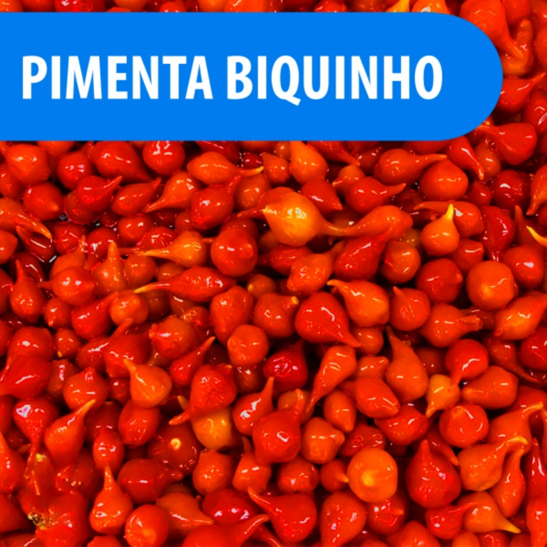 Hot Pepper Seeds Pimenta Biquinho De Bico - 5