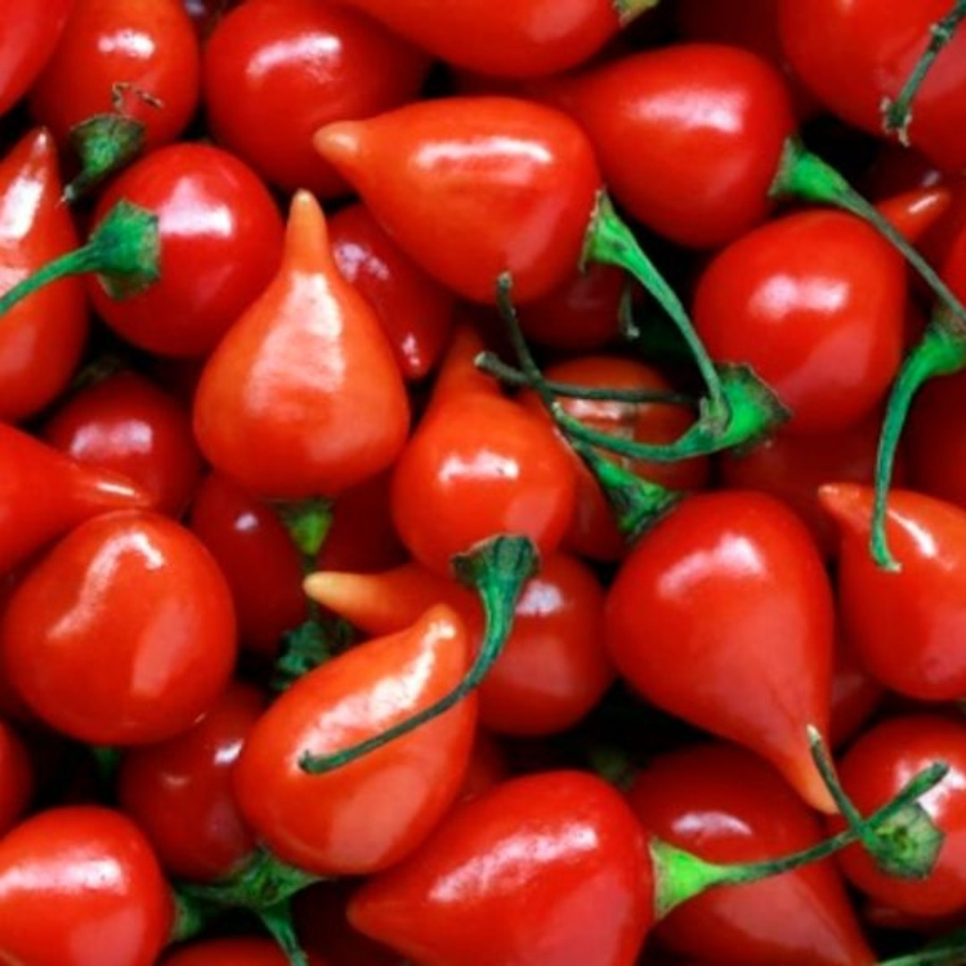 Hot Pepper Seeds Pimenta Biquinho De Bico - 5