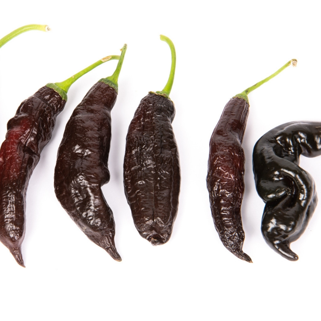 Hot Pepper Seeds CGN 23209 - 5