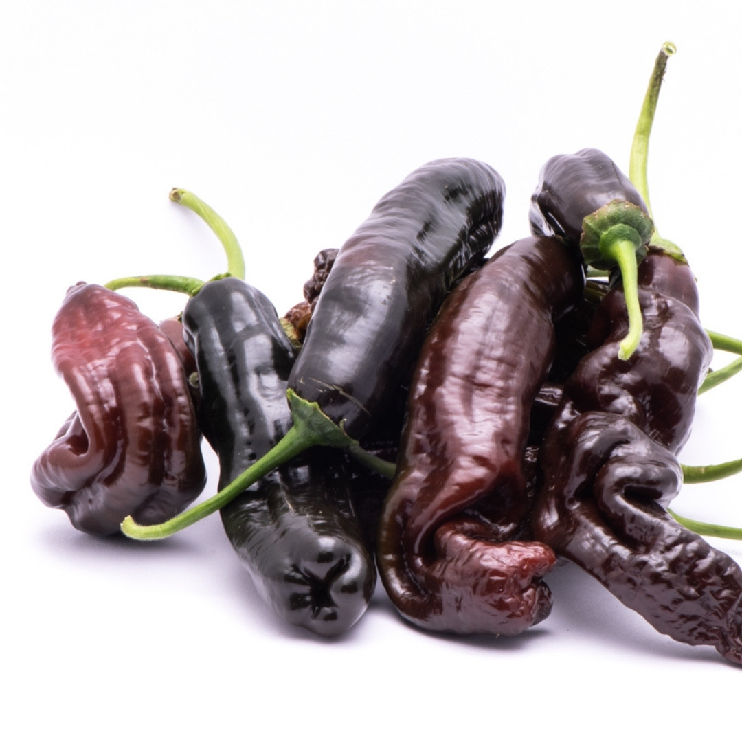 Hot Pepper Seeds CGN 23209 - 5