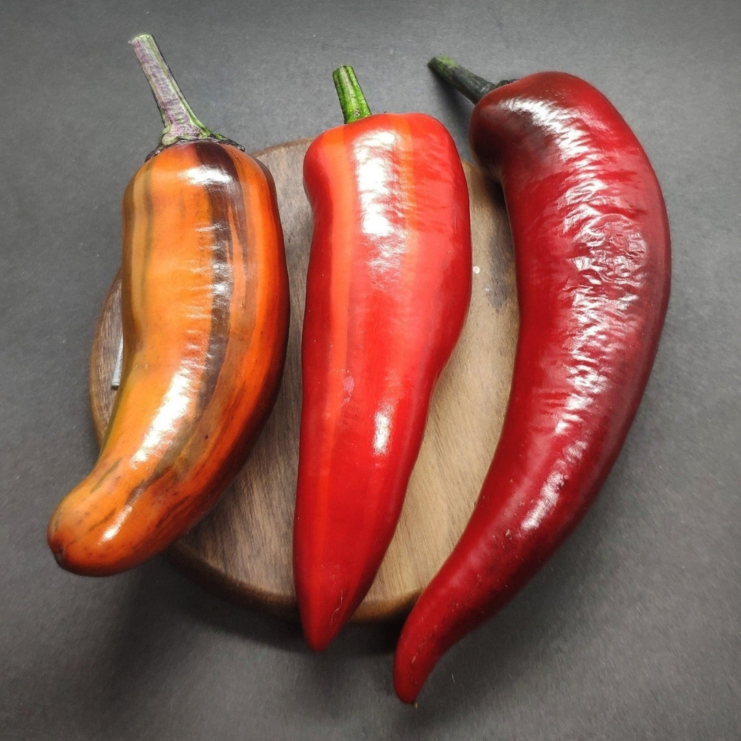 Hot Pepper Seeds Tiger Jalapeno - 5