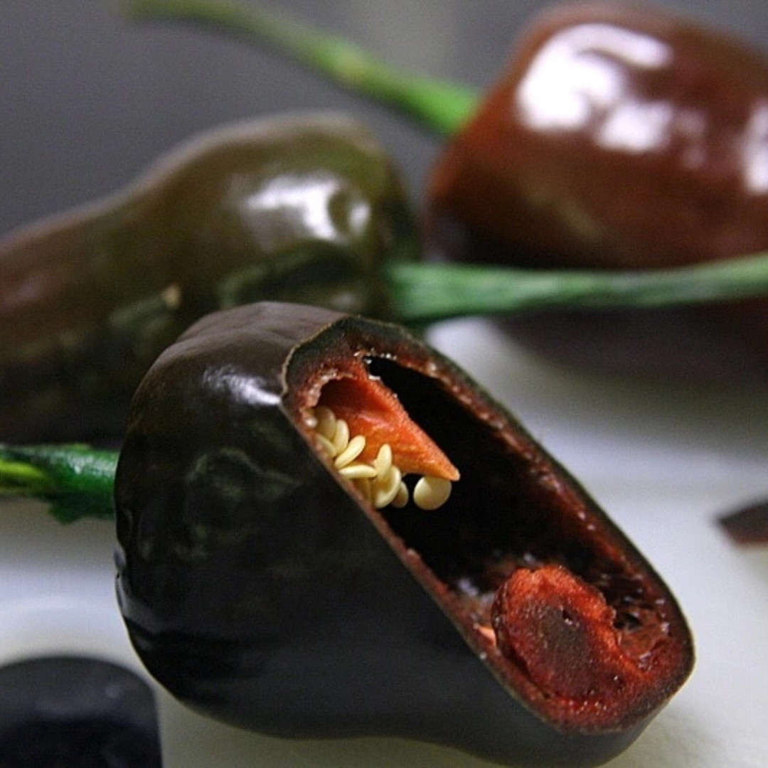 Hot Pepper Seeds Chilhuacle Negro - 5