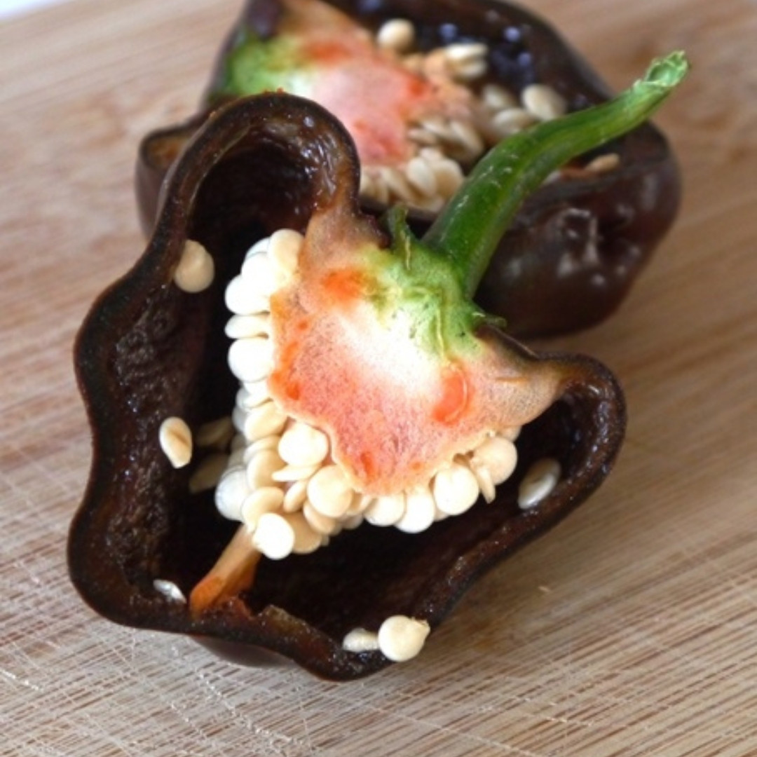Hot Pepper Seeds Chilhuacle Negro - 5