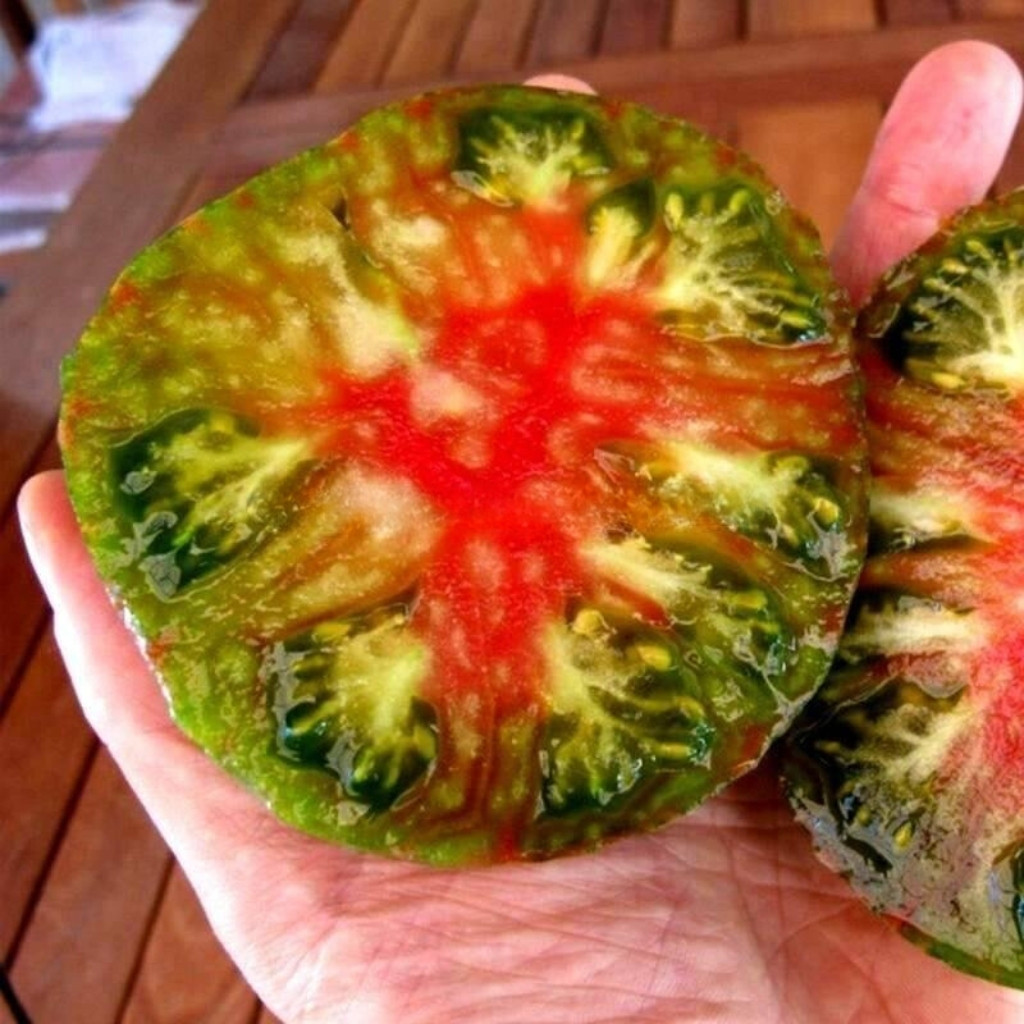 Rainbow Tomato Collection