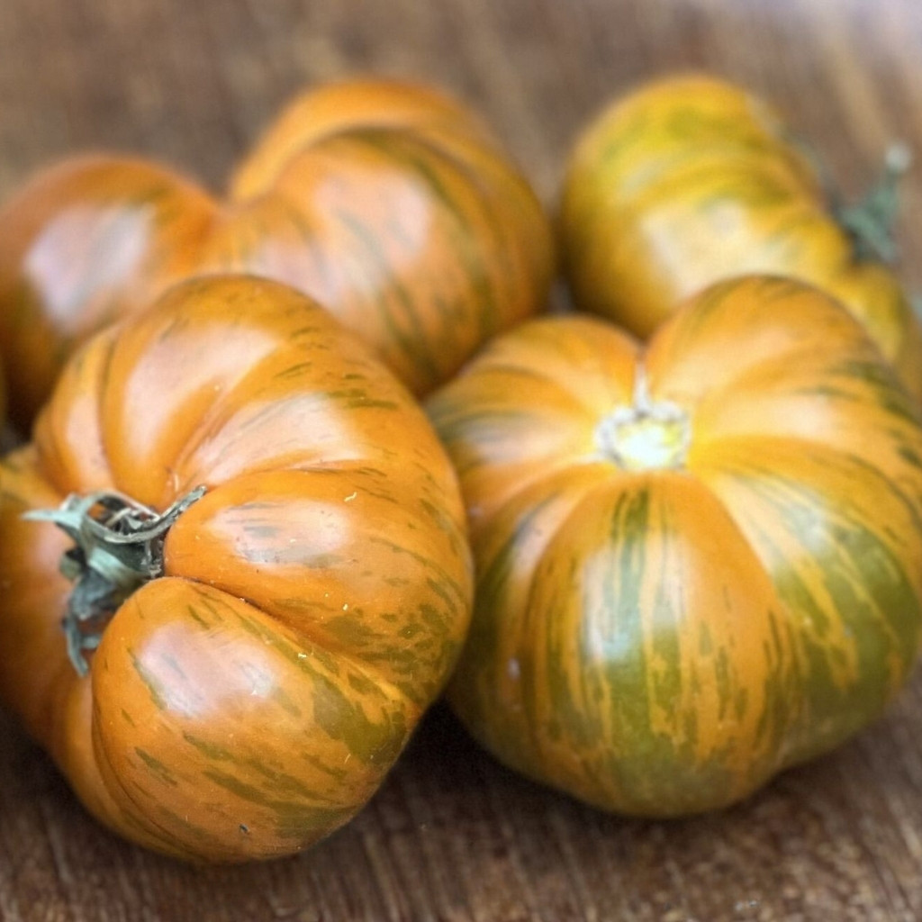 Tomato Set: Kozula Breeder’s Selection