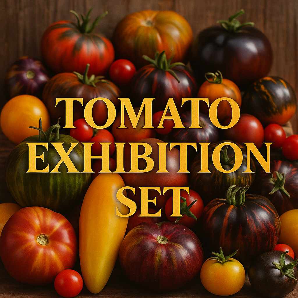 Tomato Exhibition Set