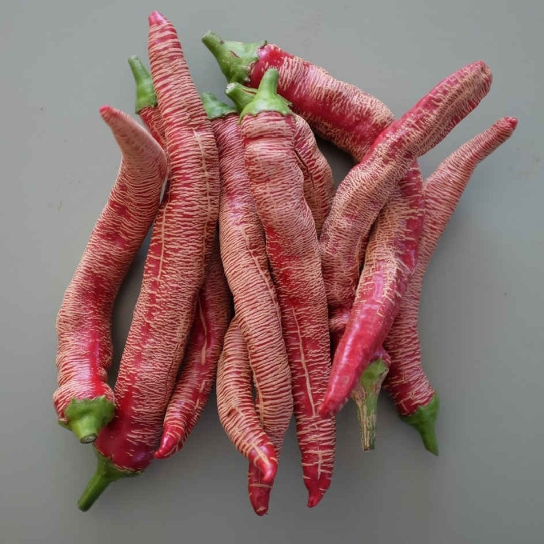 Exotic & Colorful Pepper Set