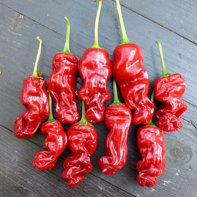 Exotic & Colorful Pepper Set