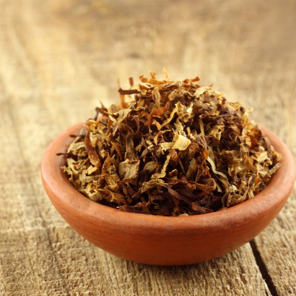Tobacco seeds - Burley Panama - 100